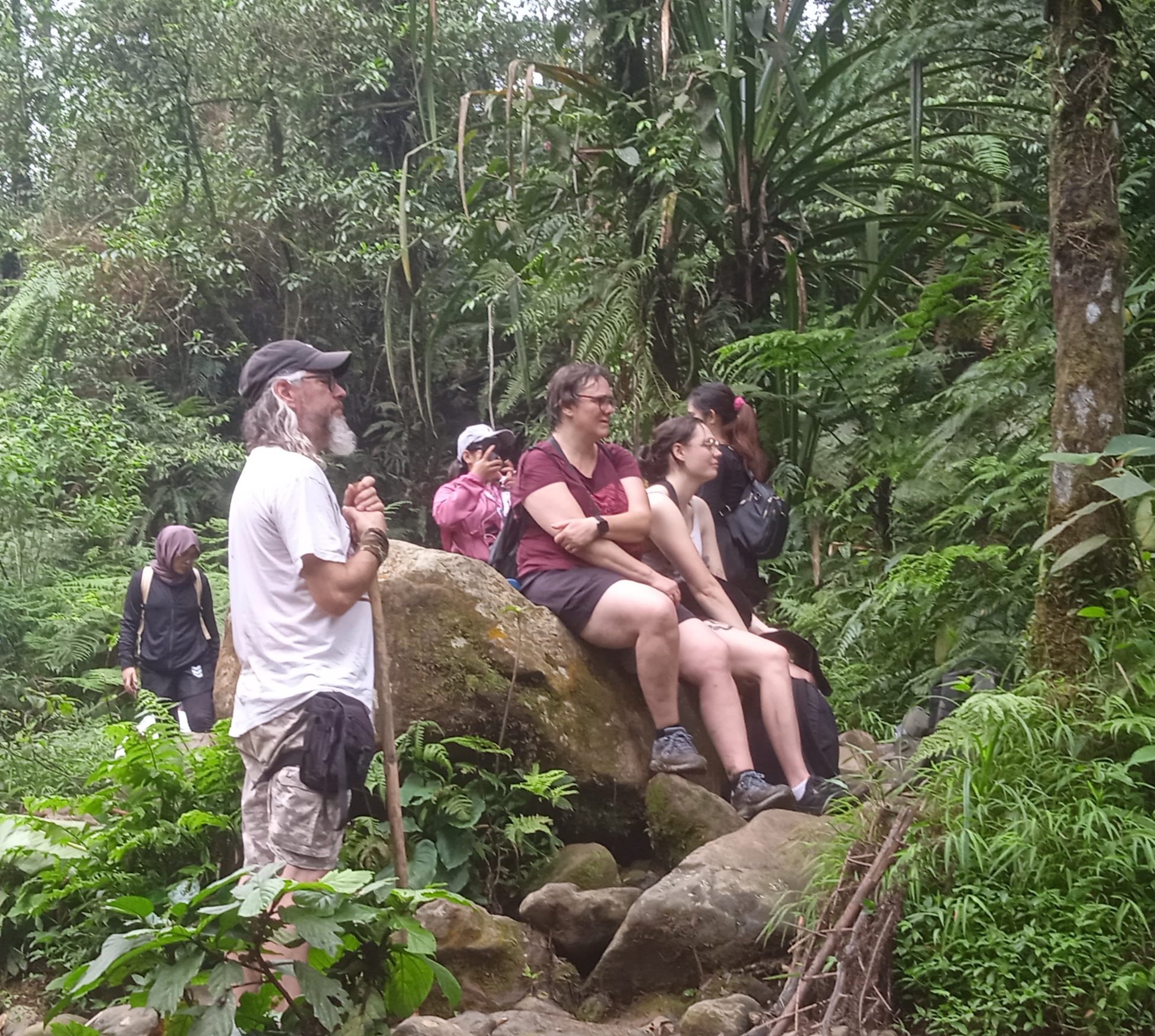 Jungle Trekking Moment